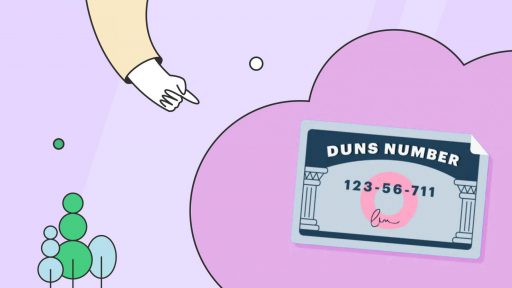 What is a DUNS number?